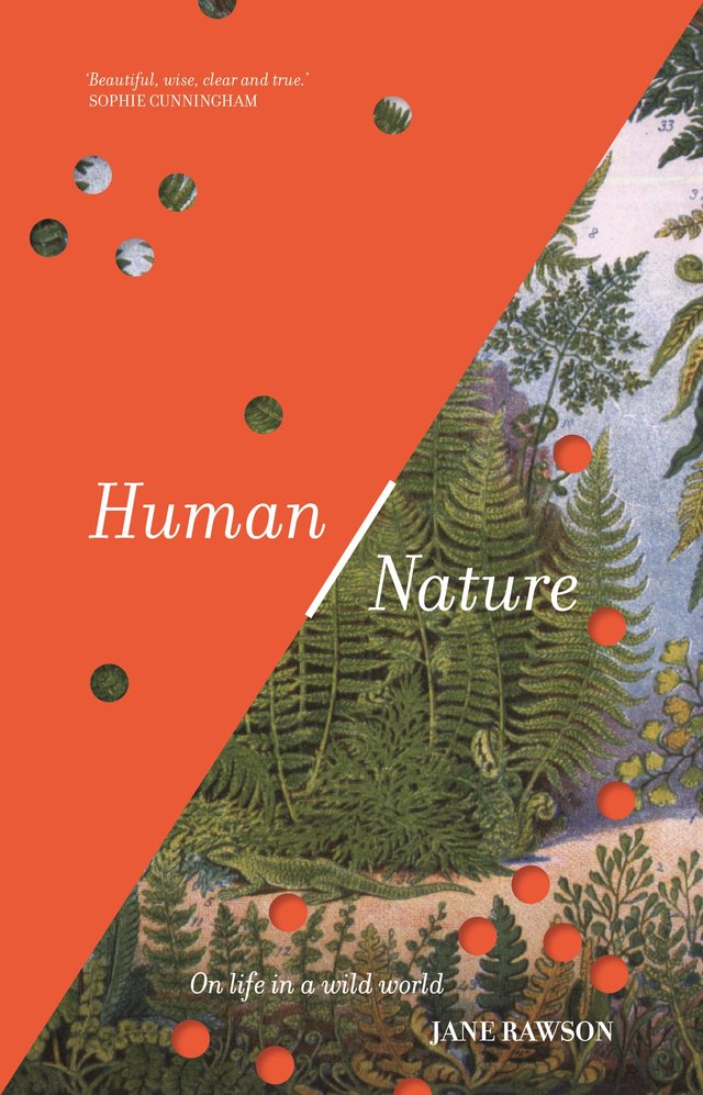 Cover image of book titled Human/Nature