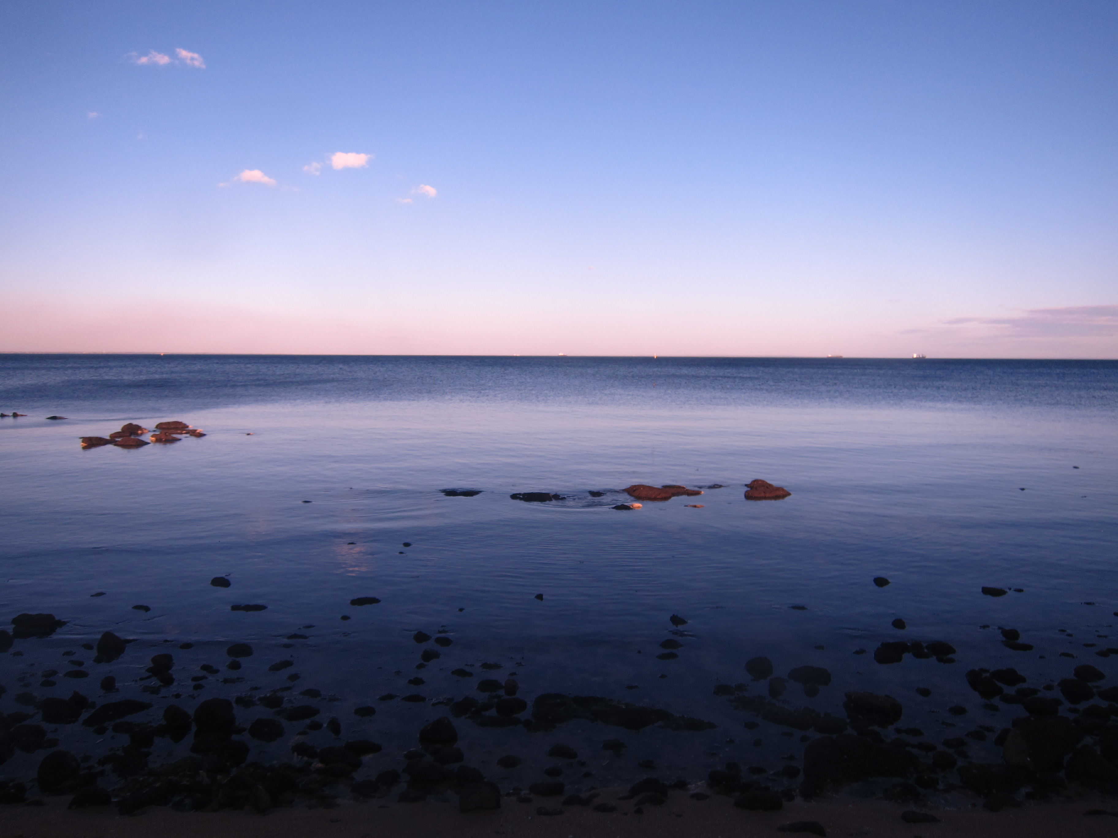 Point Cooke Marine Sanctuary, a haven for marine discovery