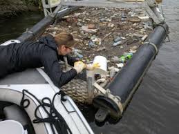 Nikki checking litter trap