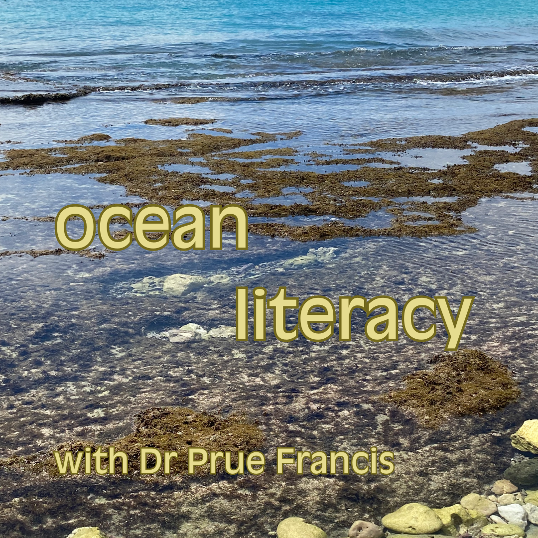 Photo of the shore of Mushroom Bay, in Nusa Lembongan, Indonesia, on a sunny day. It shows rocks, seaweed and waves rolling in, with the words "ocean literacy with Dr Prue Francis" layered over the top. 