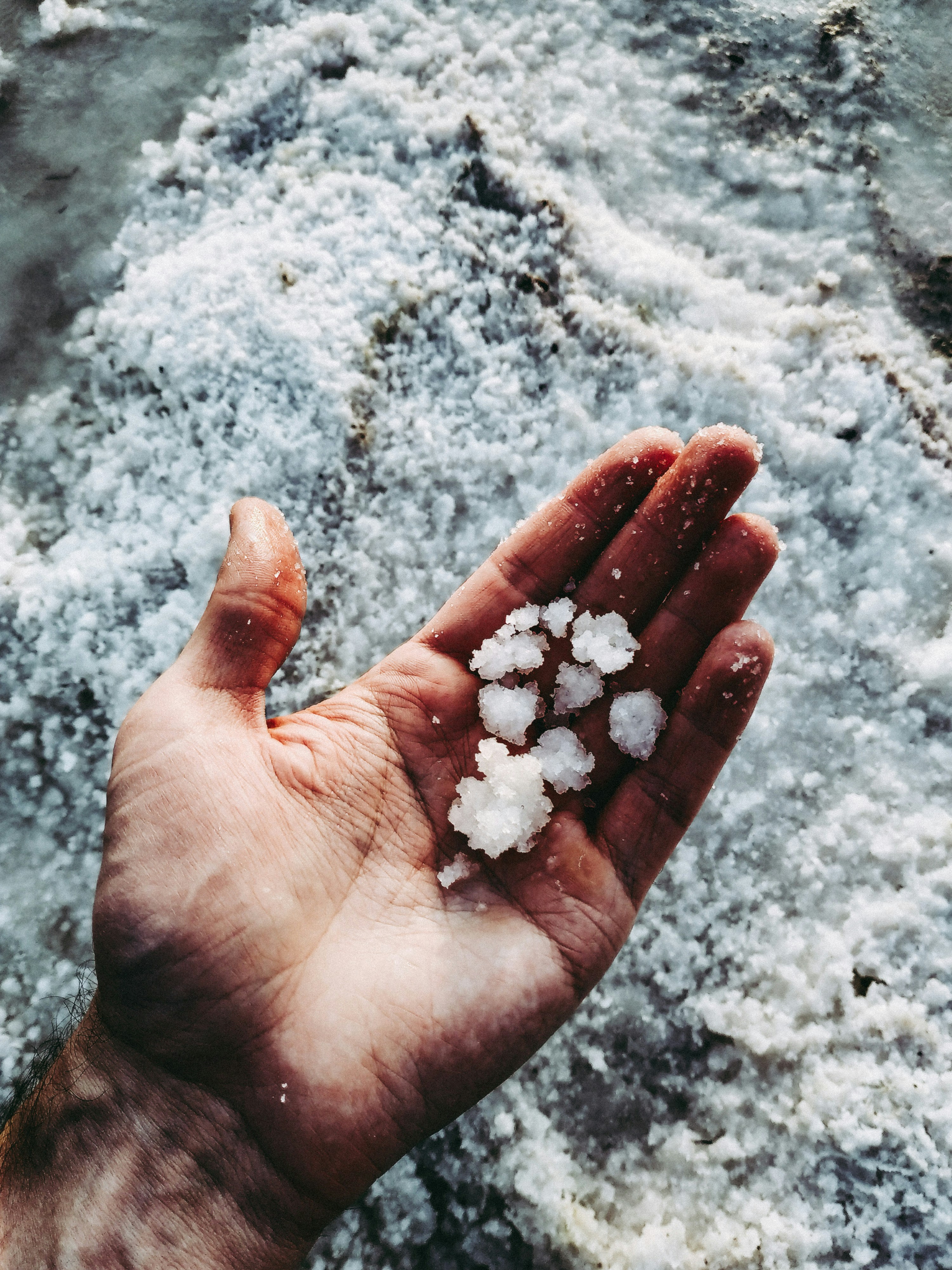 Person's hand holding grains of salt.