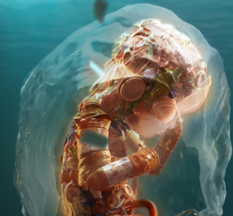 \Plastic Health Summit