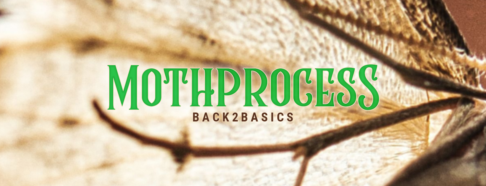 A graphic composed of a close-up photo of a tan-coloured moth's wing overlaid with the word 'Mothprocess' in large green letters and 'Back2Basics' in smaller brown letters.