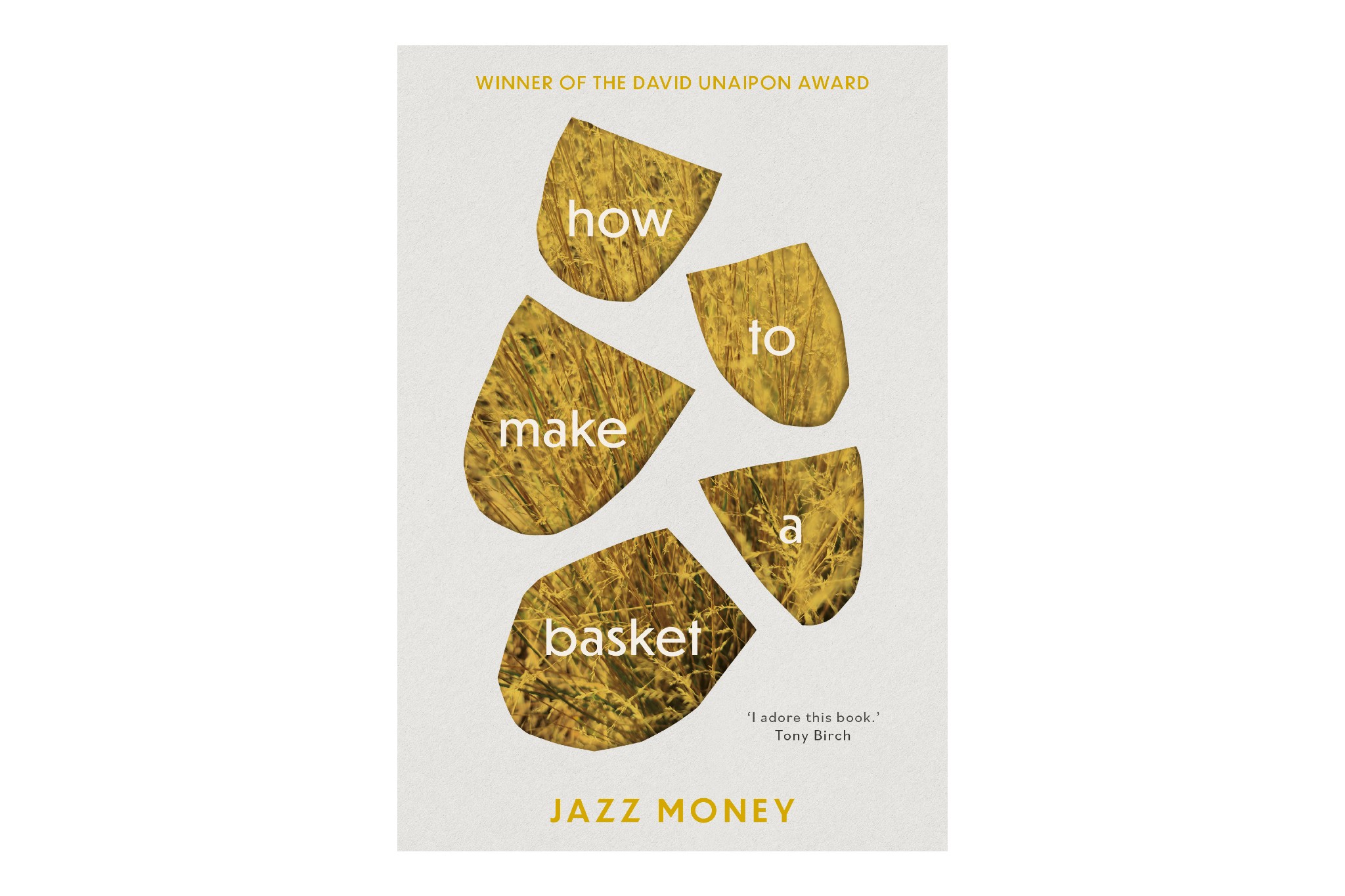 The cover of Jazz Money's poetry book, How to make a basket. The words '\hpw to make a basket' are in separate abstract shapes, patterned with long yellow grass. 