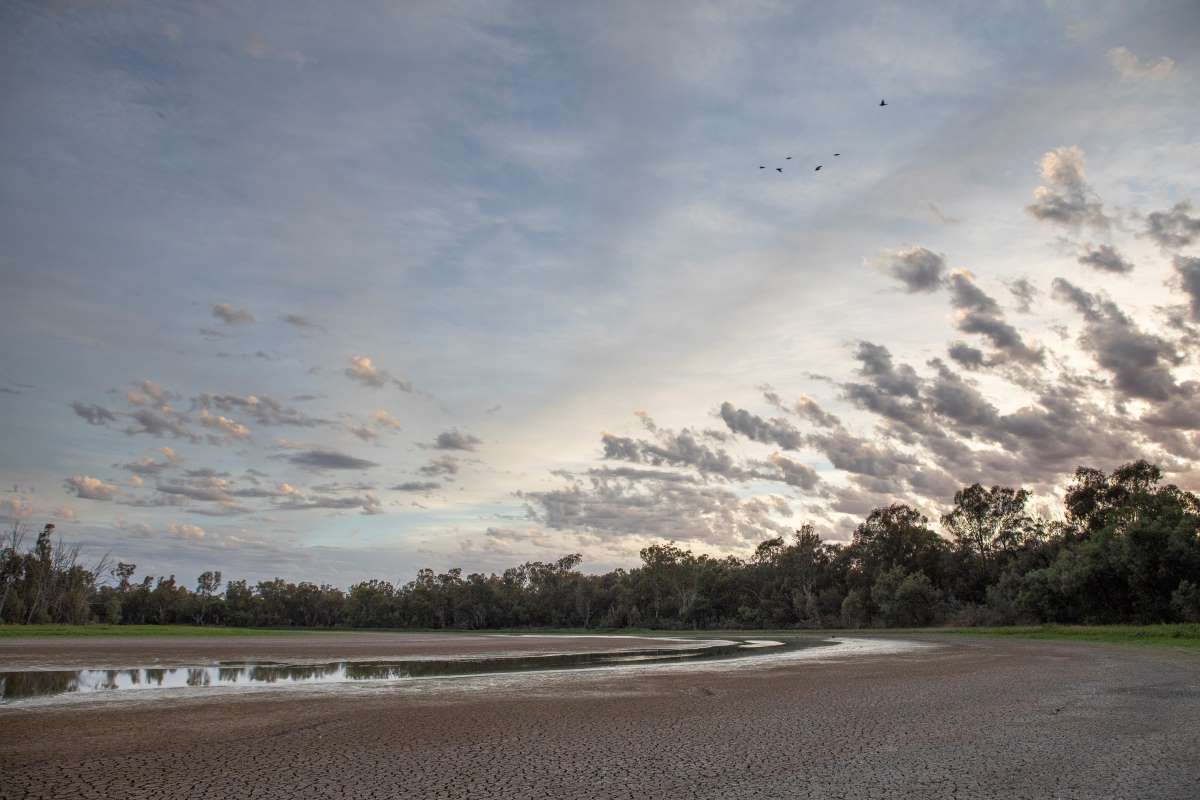A photograph of dry Margooya Lagoon, with only a small stream of water across a sandy flat. The lagoon is surrounded by trees and the sky above is bright with clouds parting on either side.