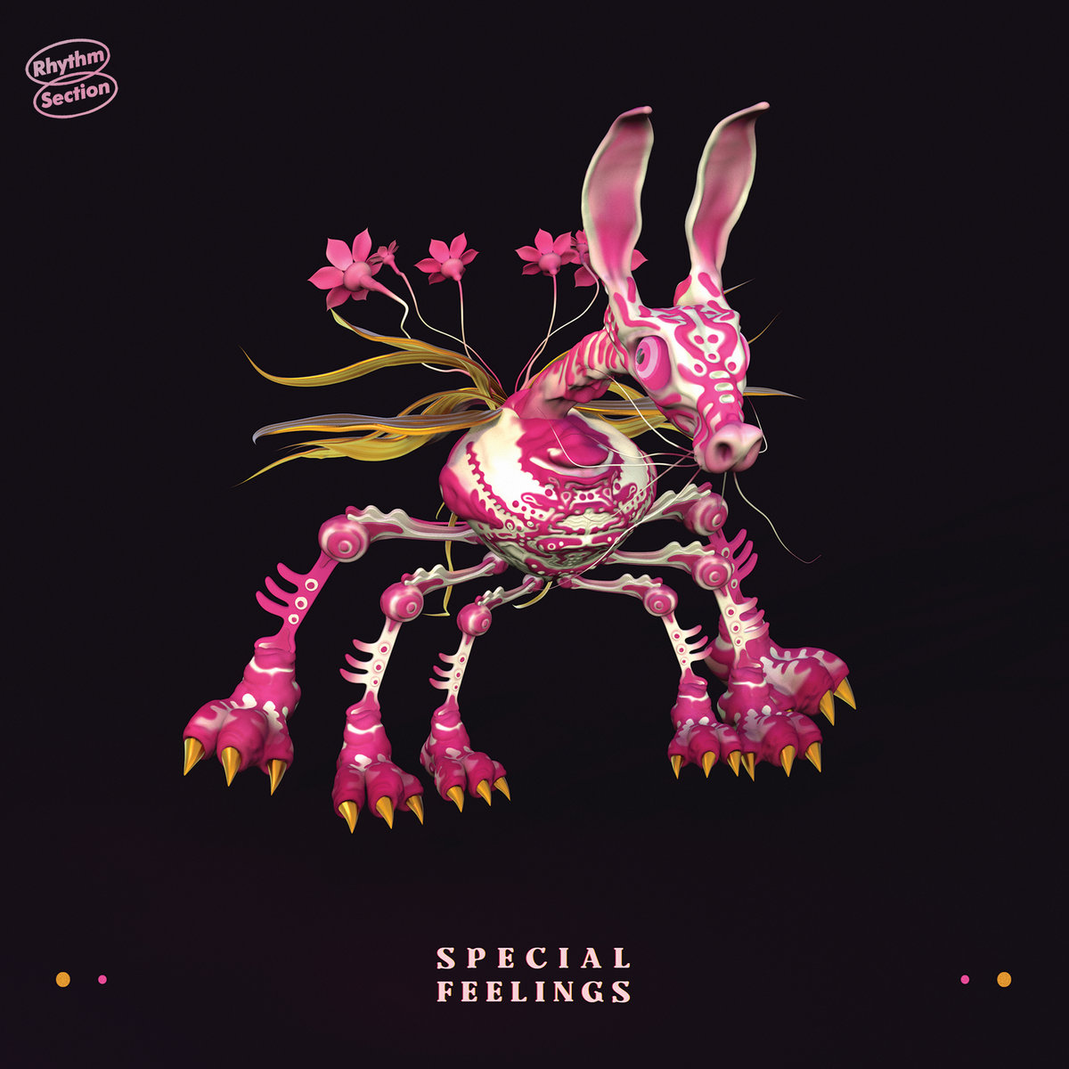 An album cover from the band 'Soecial Feelings. Floating on a black background, is a pink fantasy horse-like creature with six legs and flowers growing from its tail. 
