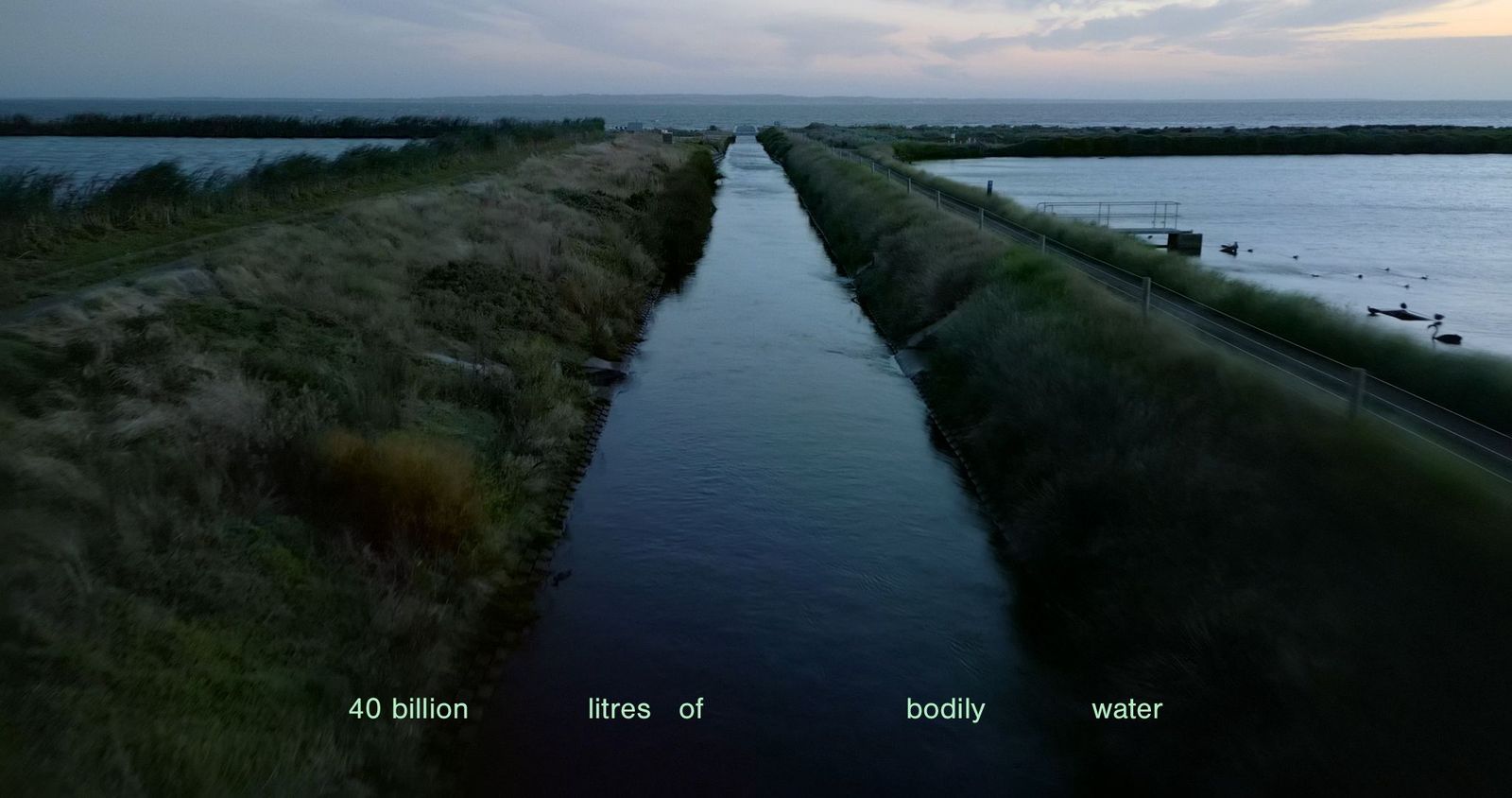 A cinematic image of the canals and grassy edges of the Western Treatment Plant on Wadawurrung Country, with text that reads "40 billion litres of bodily water". Image Credit: Eugenia Lim, Metabolism, 2023, 2K video, colour, sound, 29:15. Cinematographer: Tim Hillier.