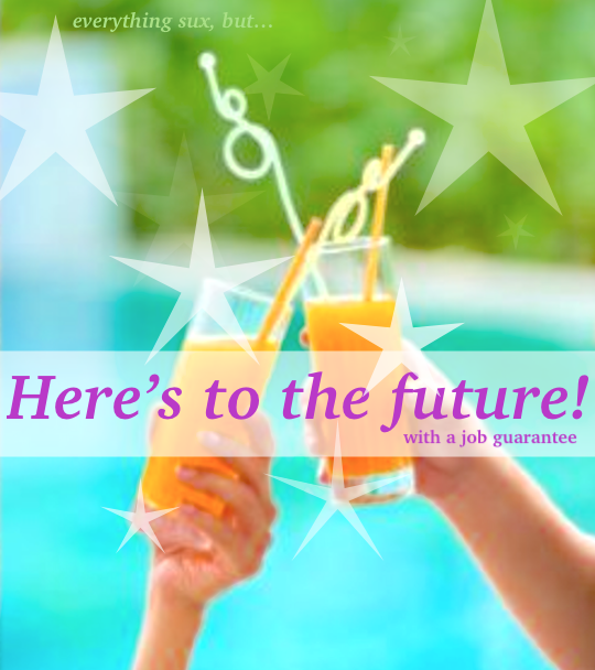 A job guarantee future