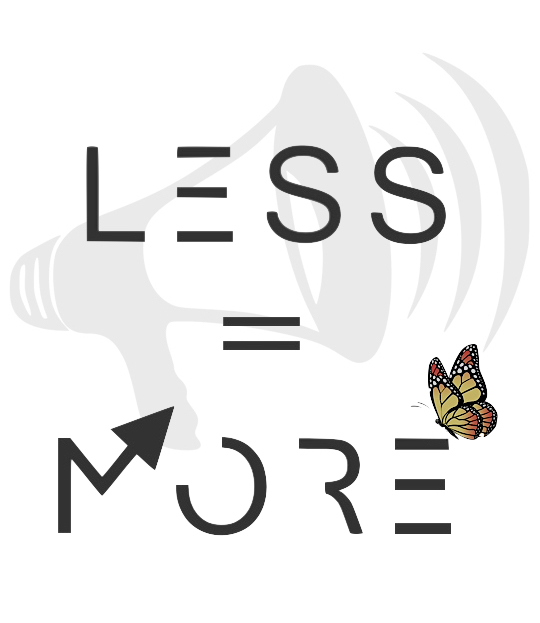 Less Is More: MMT meets ecological economics