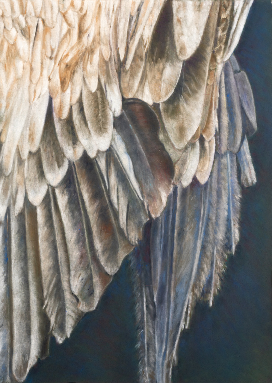 Vulture by Maree Gladwin