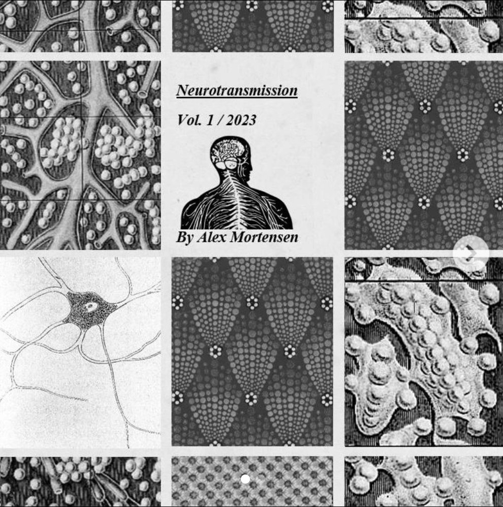 A monochrome image of a book cover. A collage of microscopic images of the human brain, arranged in rectangles around a central sketch of a human head and shoulders, featuring the central nervous system. The title of the book is "Neurotransmission, Vol. 1/2023, by Alex Mortensen"