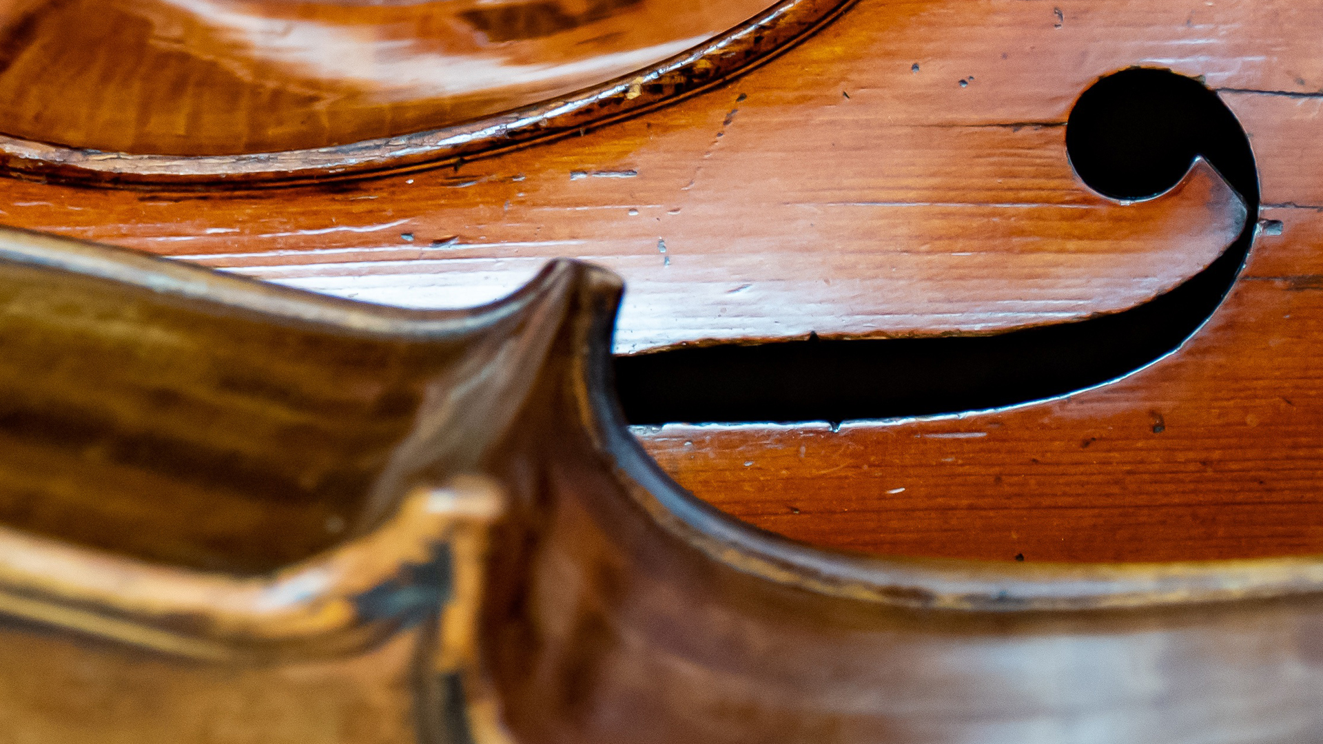 A close up image of two cellos laying side by side