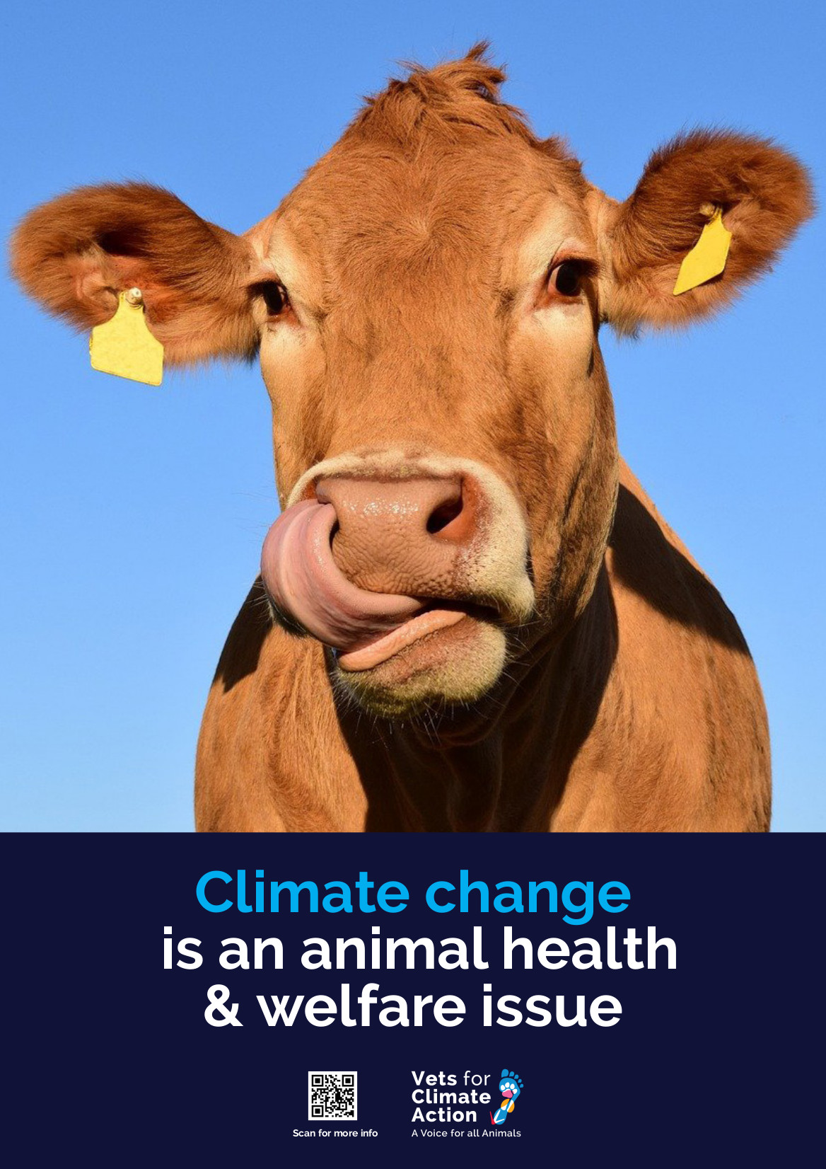 Veterinarians for Climate Action