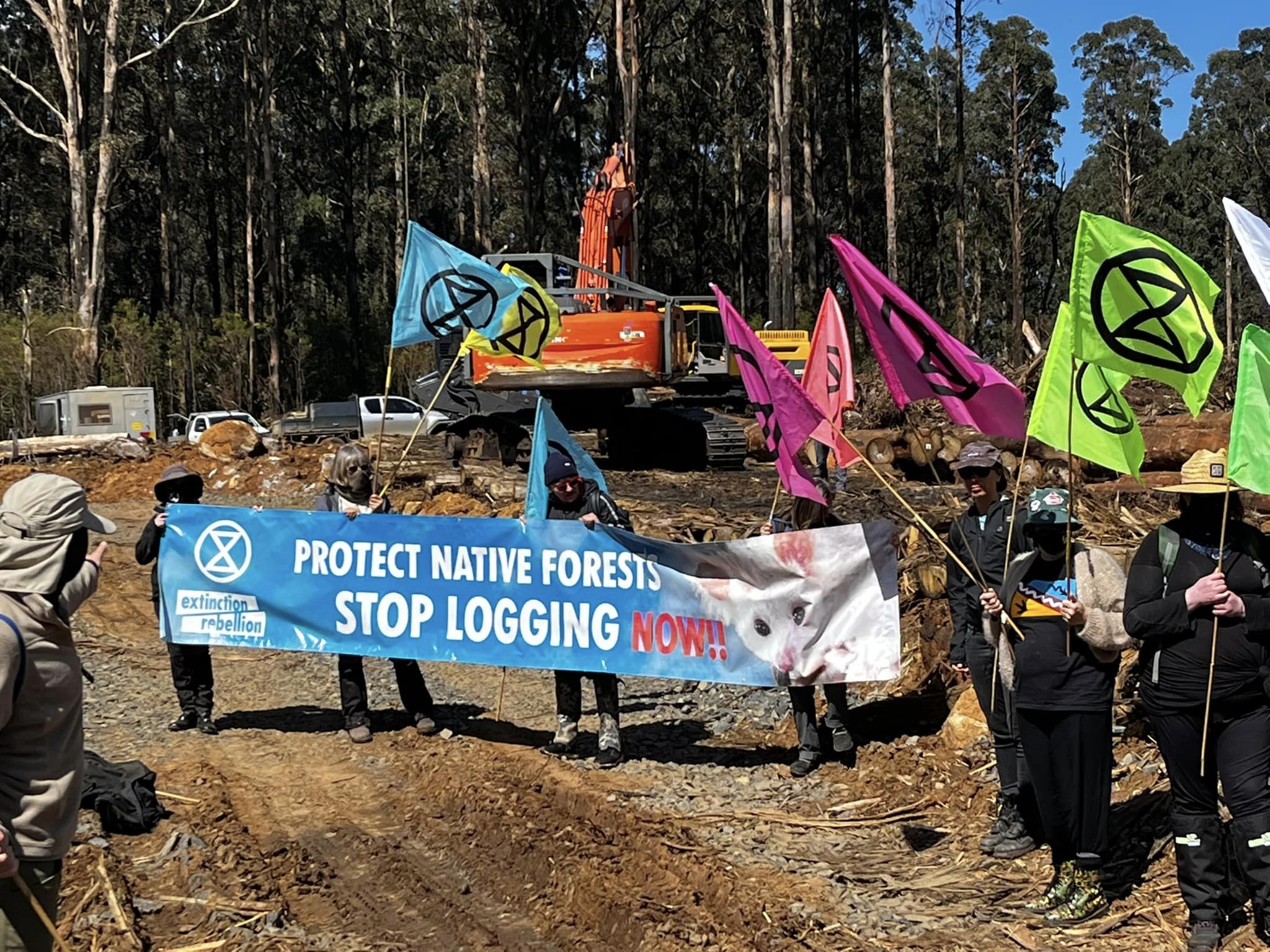 XR Stop Logging Now. "We are living like aliens in this country"
