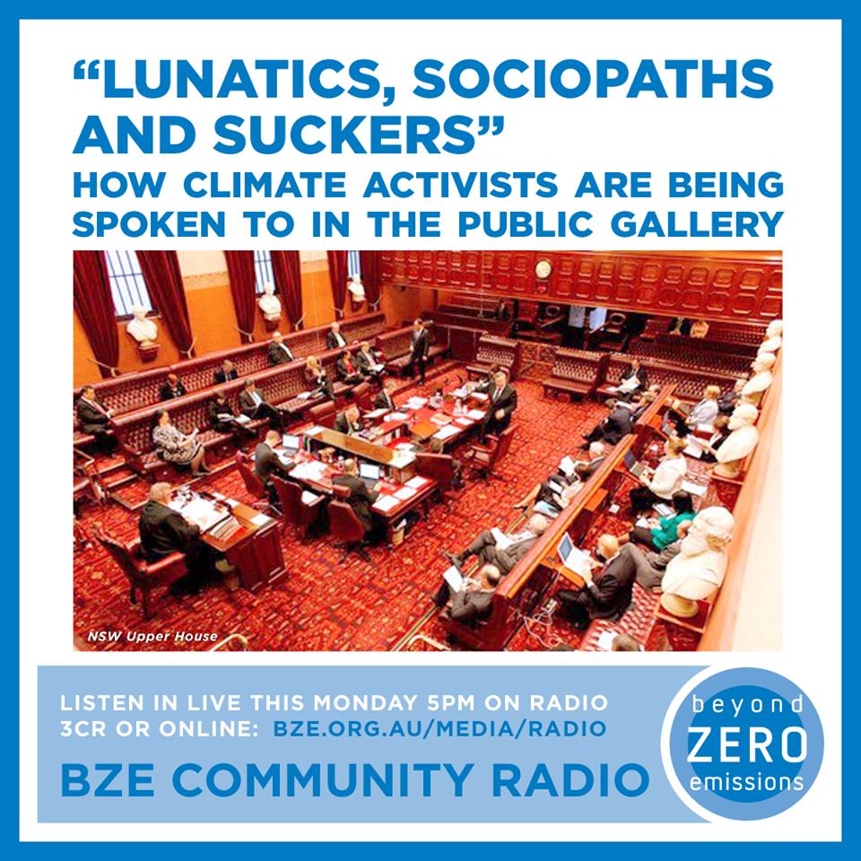 How should parliamentarians speak to the gallery?