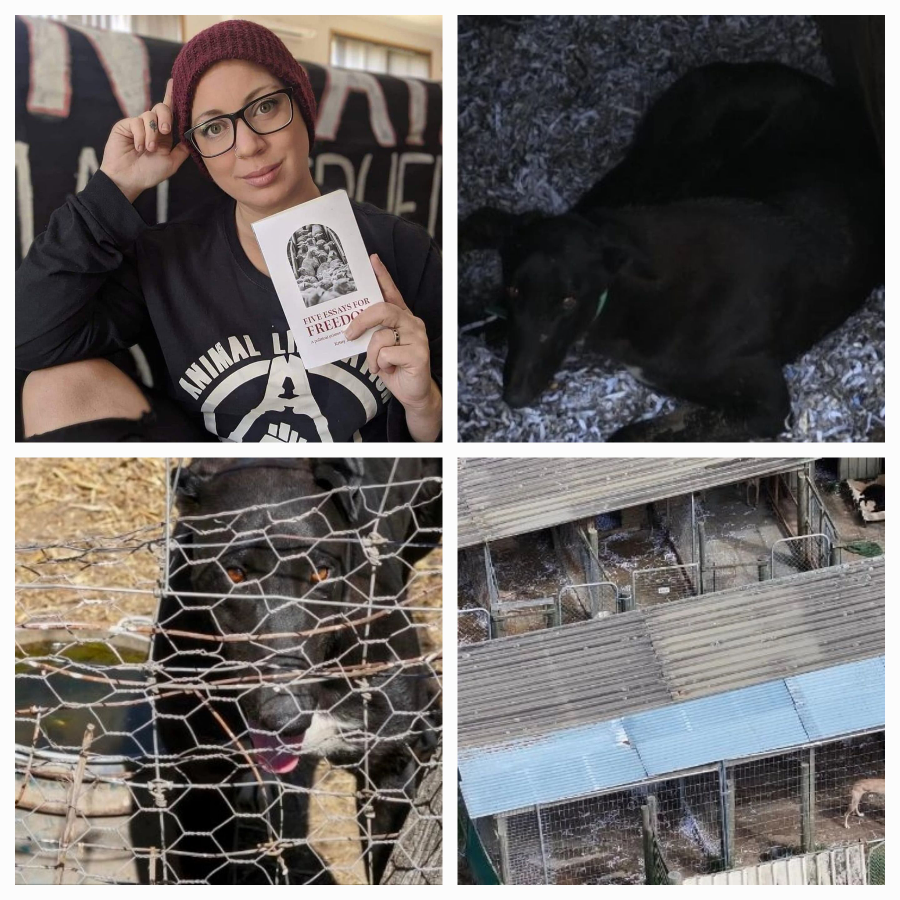 Photos provided by Animal Liberation Tasmania of Kristy Alger and the Defund TasRacing campaign