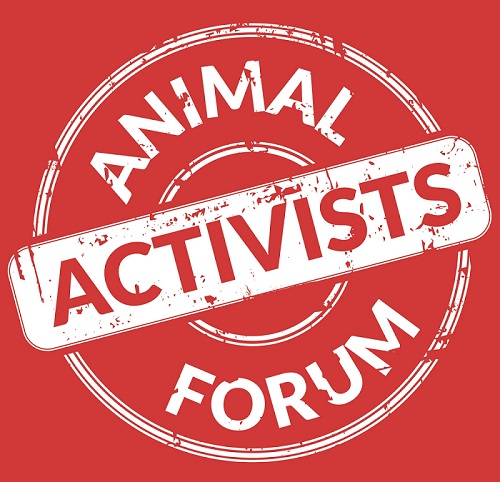 Animal Activists Forum