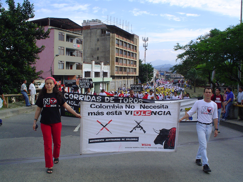 Bullfighting protest in Colombia