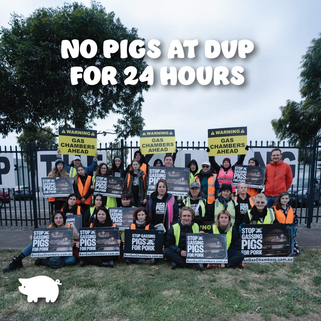 Photo of the vigil attendees with the caption no pigs at DVP for 24 hours.