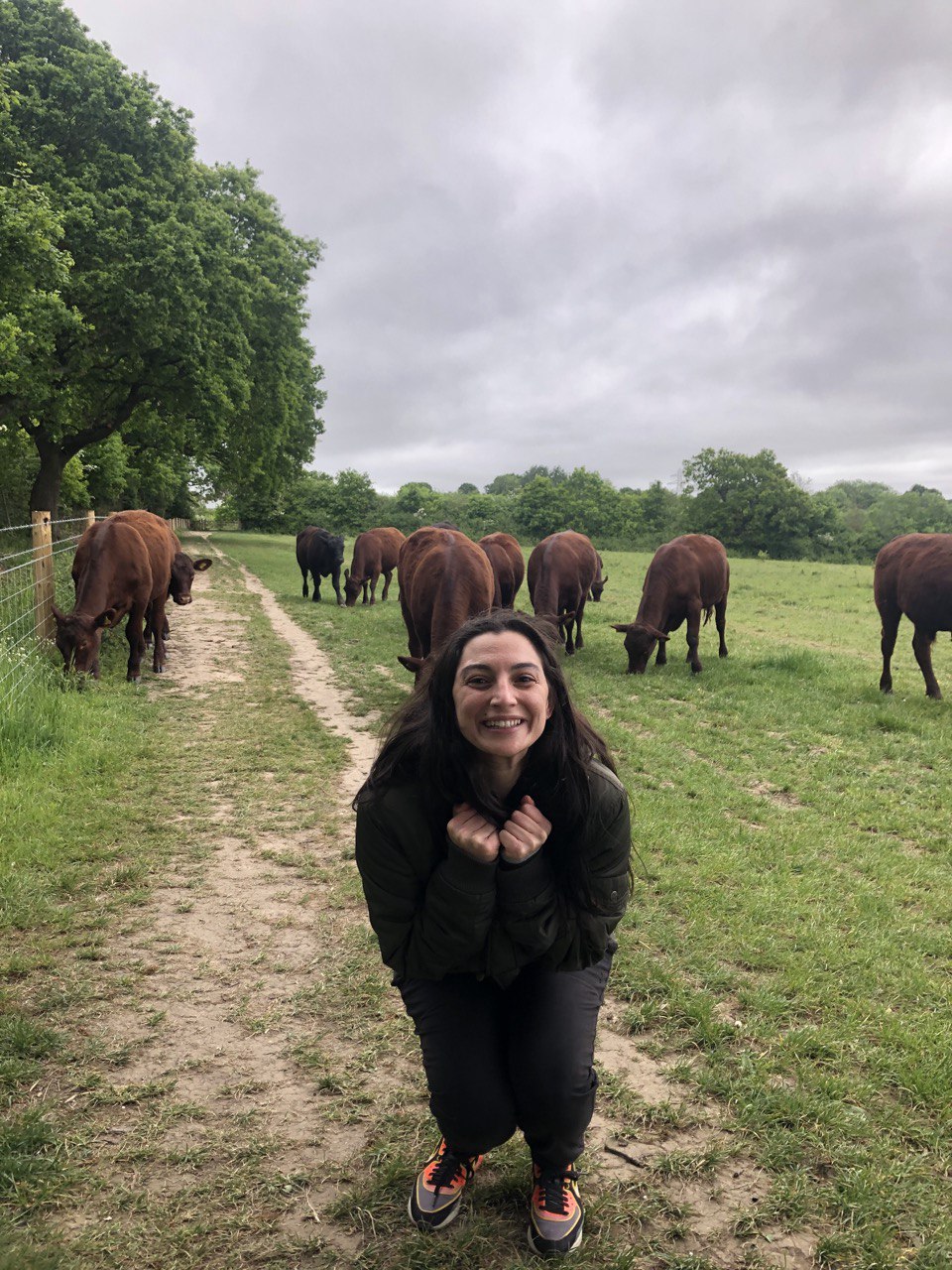 Photo of our guest Jax with some cows