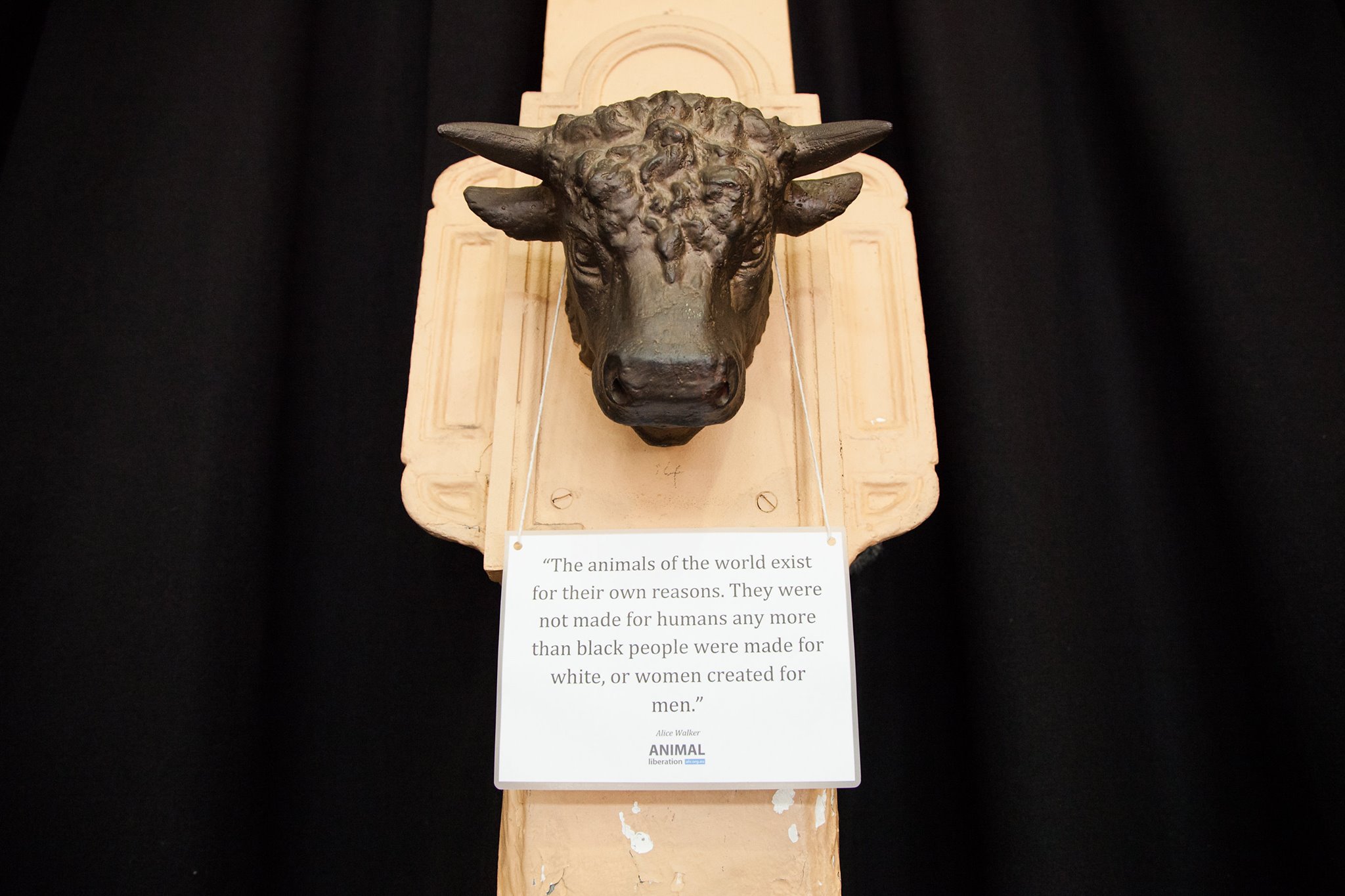 Brass cows head with message of hope for animals.