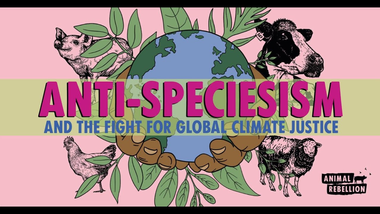 Anti-speciesism talk from Animal Rebellion