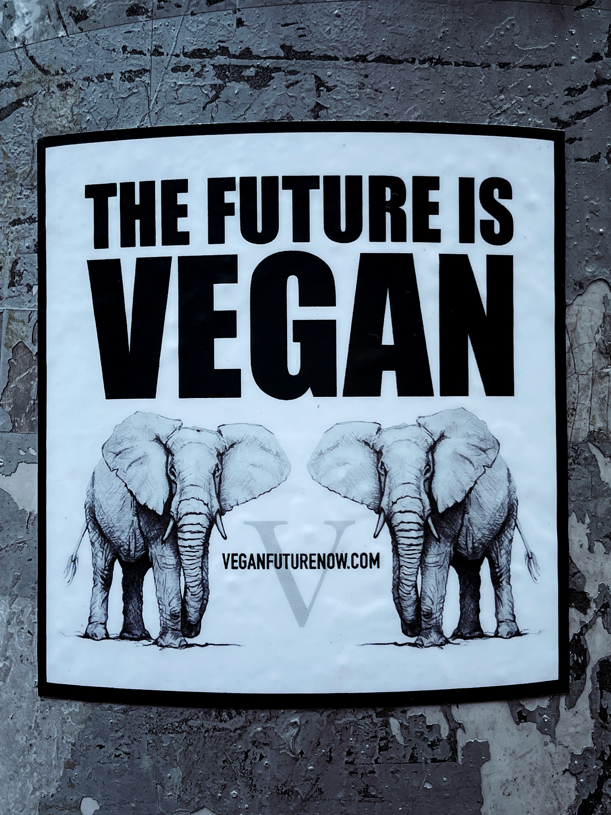 Poster with two elephants and the words the future is vegan