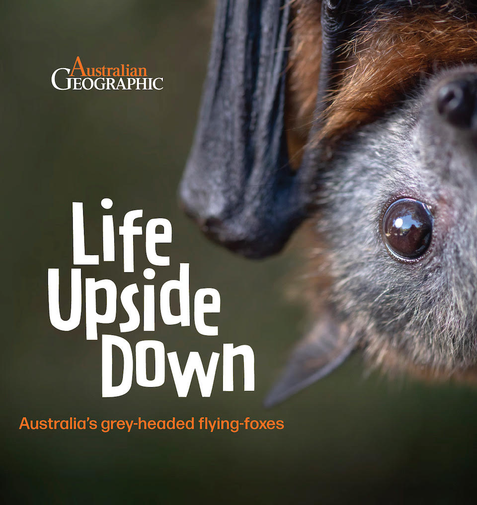 Life Upside Down book front cover