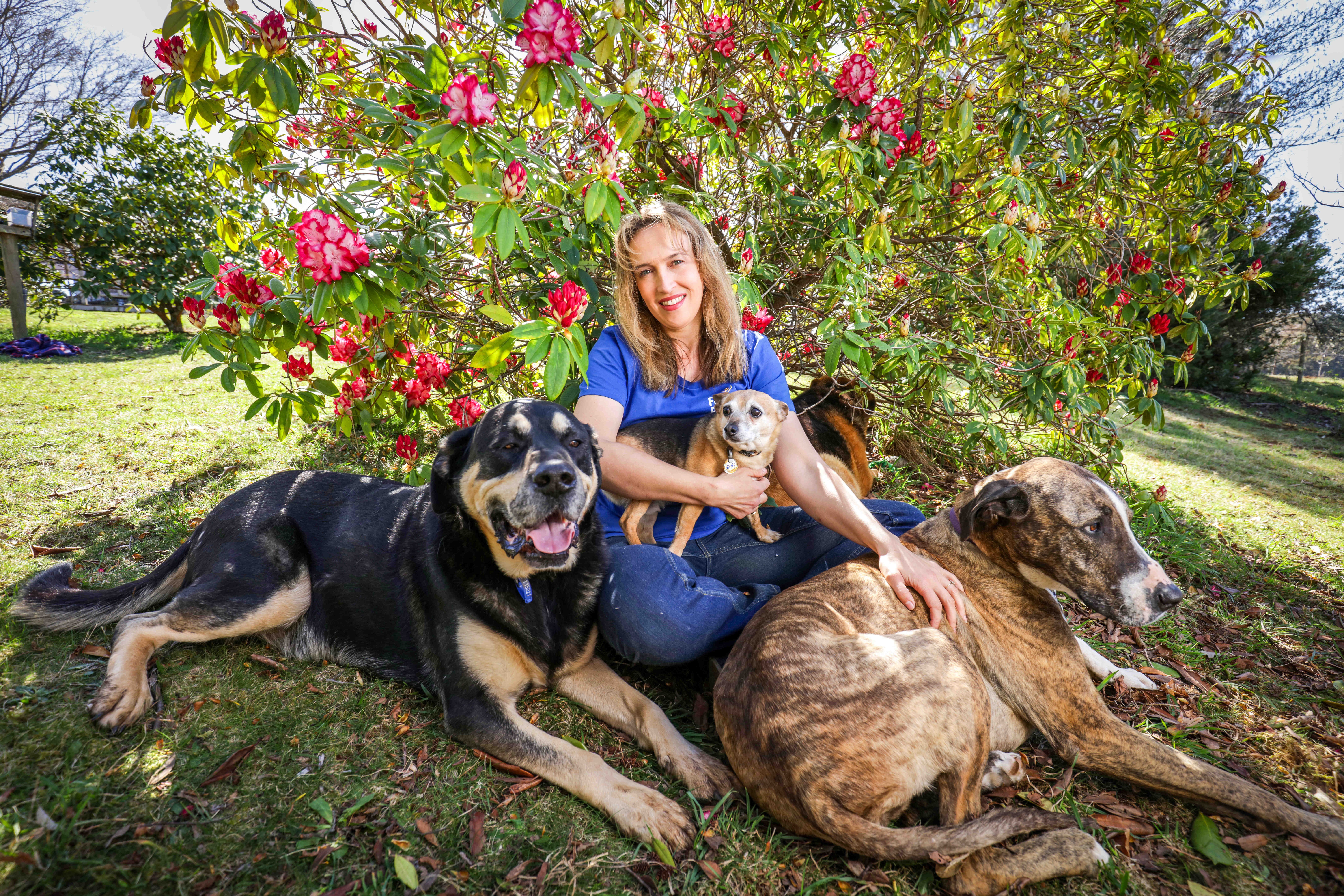 Saskia wth Paddy (left), Sharkie (middle front), Velvet (middle back), and Bridie (right)