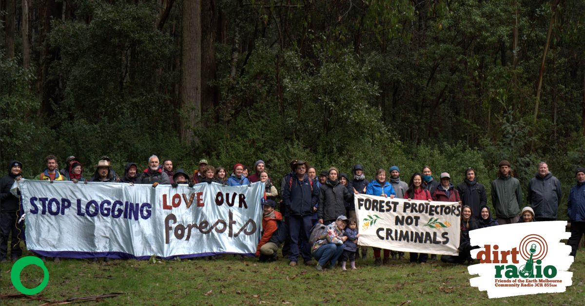 Picture of forest protectors in forest with banners