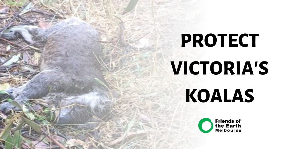 Protect Victoria's Koalas