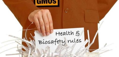 We talk to Friends of the Earth's Emerging Tech Coordinator about the current move to deregulate gene editing in Australia. What are these technologies? What are the threats? And what are alternatives?