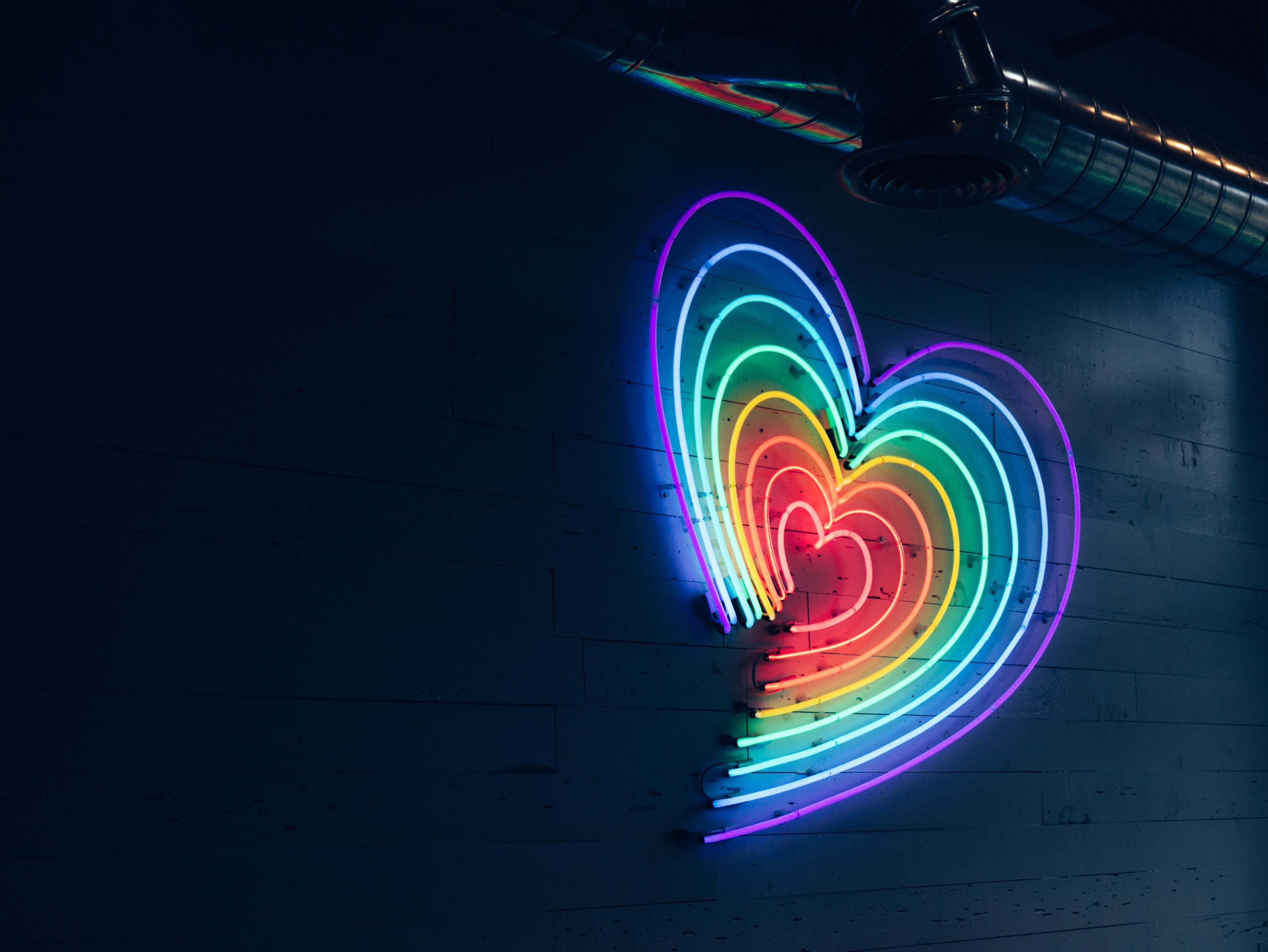 Photo of neon lights in a heart shape 