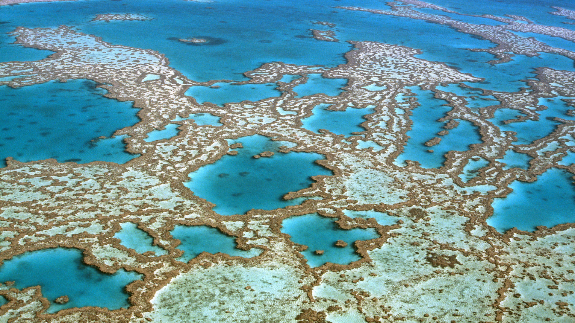 Aerial image of reef