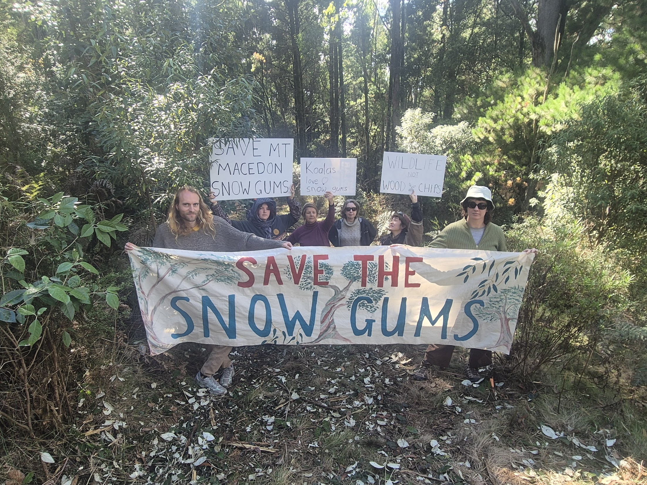 Community members holding sign reading 'Save the snow gums' in a grove of trees at Mt Macedon