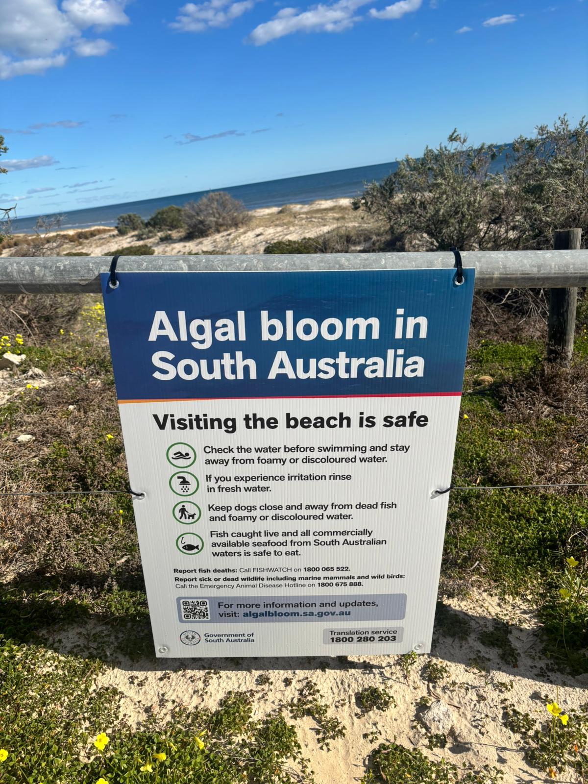 Algal Bloom Safety Advice, Tennyson Beach, Adelaide | Credit: Jessica Craig