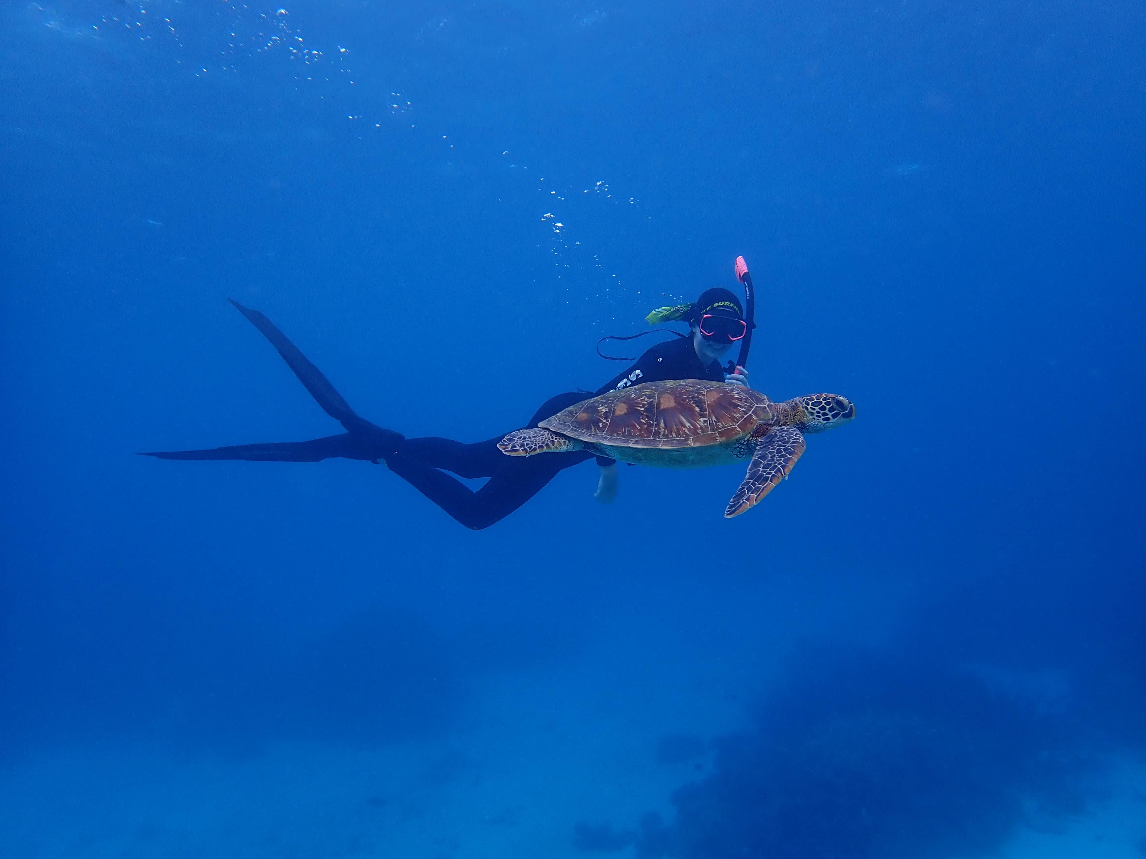 Diver underwater with turtle