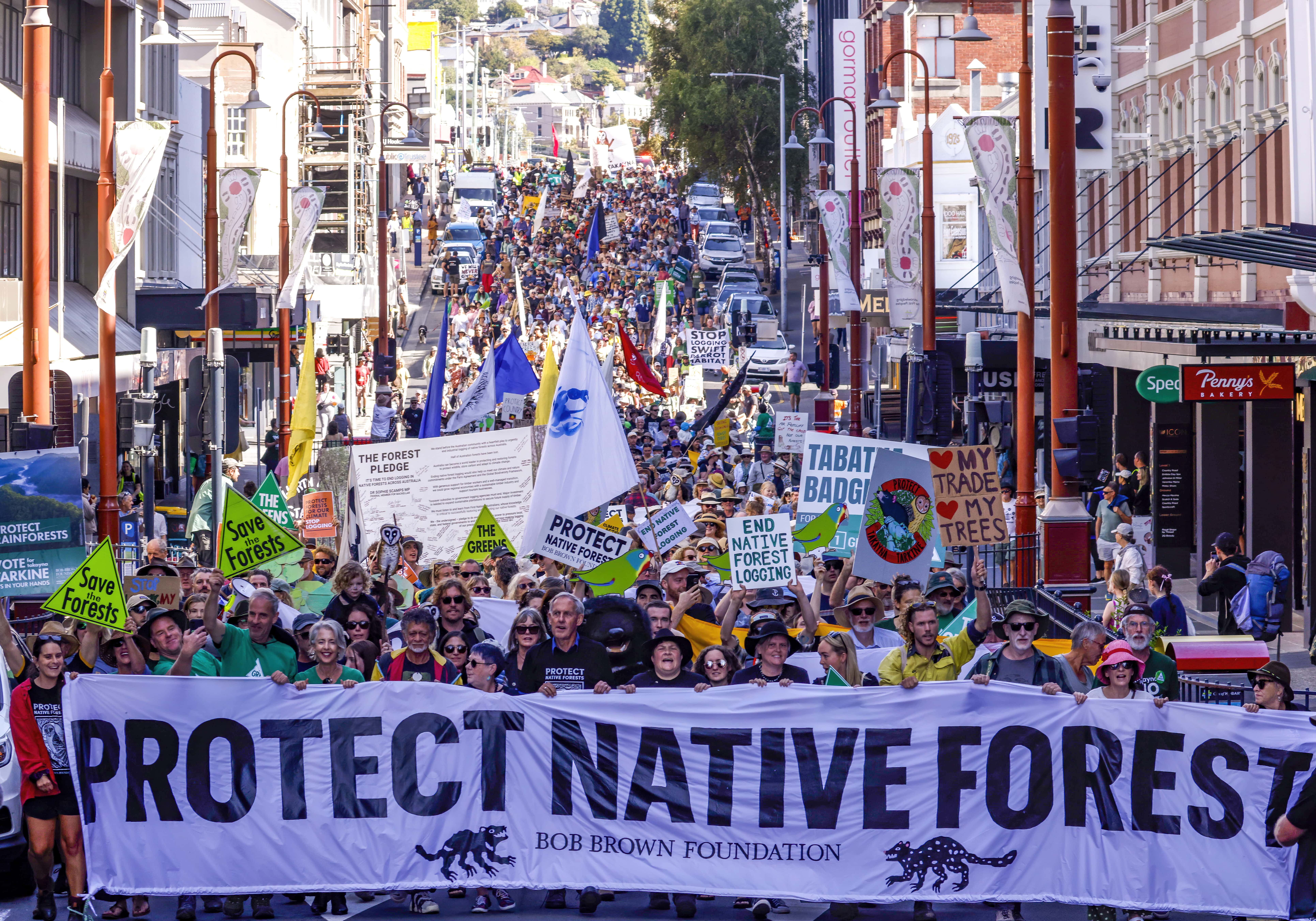 A group of protestors from the Bob Brown Foundation rally to protect native forests