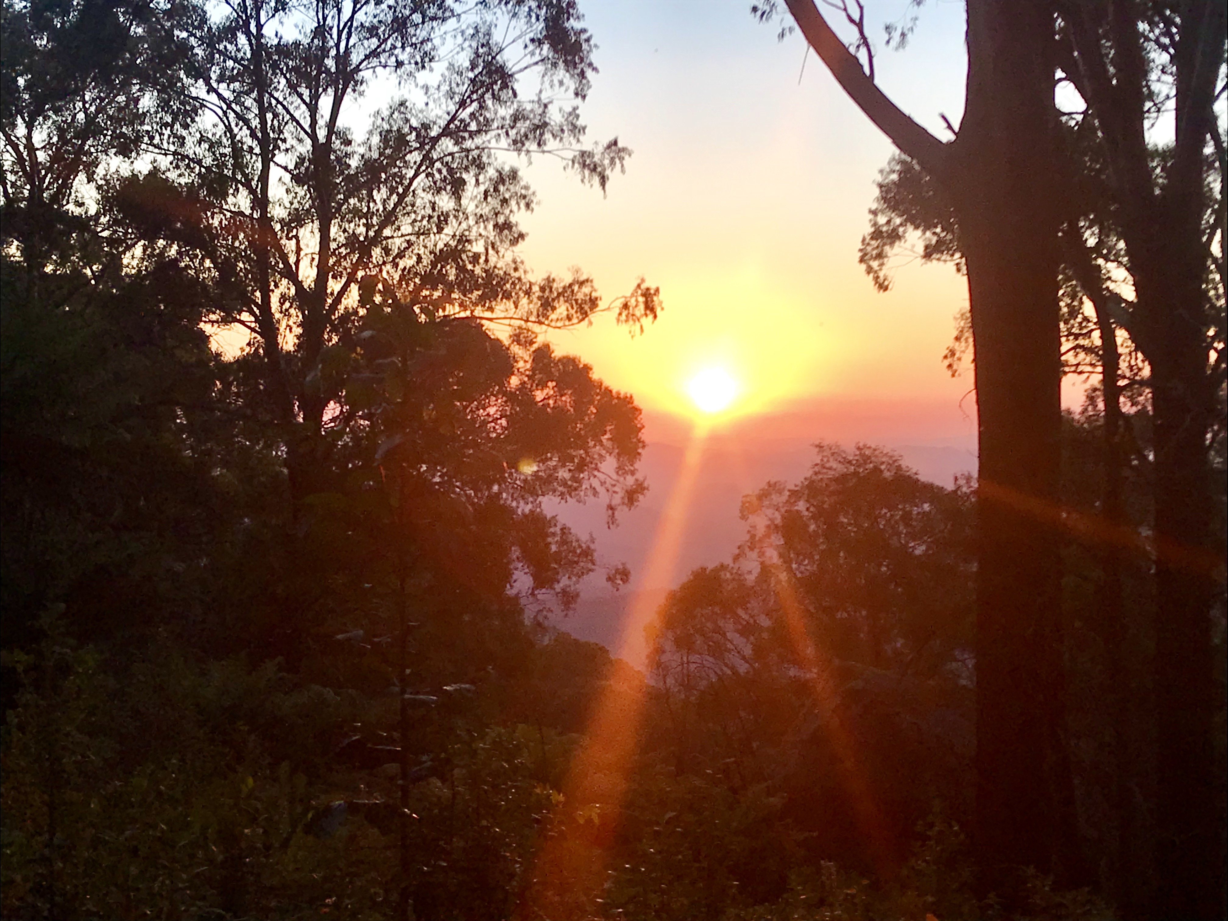 Sunset over east Gippsland forest