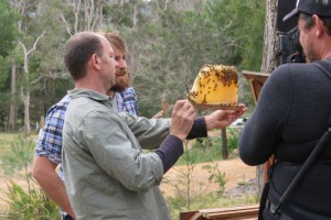 Beekeeping Naturally