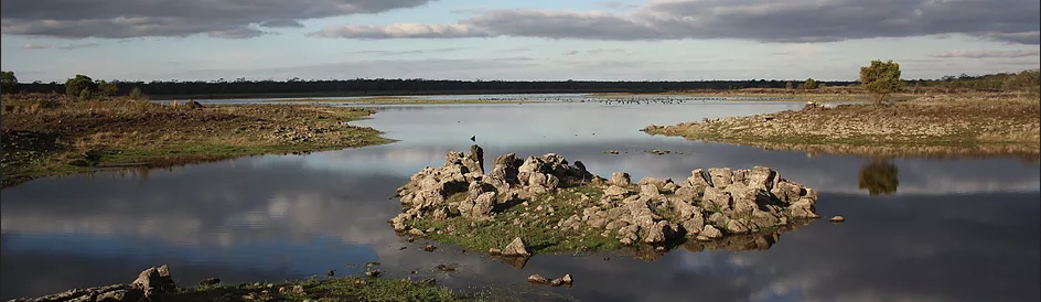 landscape of Budj Bim including lake and shoreline with rocky fish traps visible