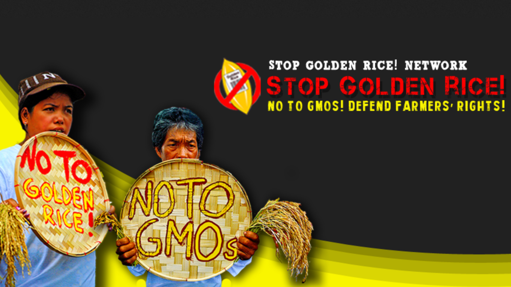 This picture is a campaign promotional graphic headed with some text saying “Stop Golden Rice! Network; Stop Golden Rice! No to GMOs! Defend Farmers Rights!” There is a logo depicting a single gold rice grain with a label on it saying “Golden Rice” and a bar code, encircled with a prohibition sign. There are also 2 Indigenous farmers each holding a threshing basket and a clump of freshly harvested rice. One basket has text saying “No to Golden Rice” and the other has text saying “No to GMOs”.