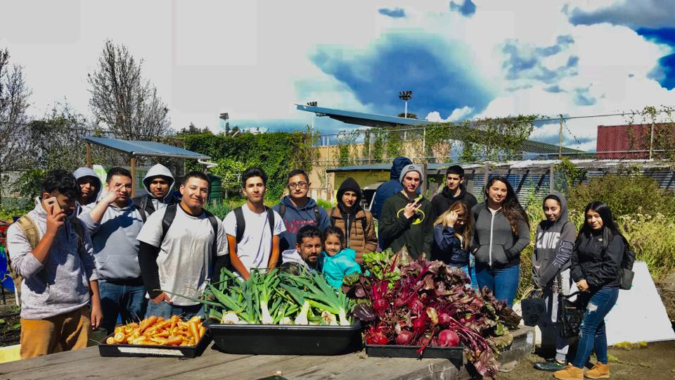 A group of more than 15 Richmond High School students and community members standing outside in the onsite garden, in the foreground is a wooden table laden with freshly harvested piles of juicy carrots, leeks and beetroot. In the background fertile fruit and vegetable crops are visible with other greenery and infrastructure, under a blue sky with the promise of rain clouds.