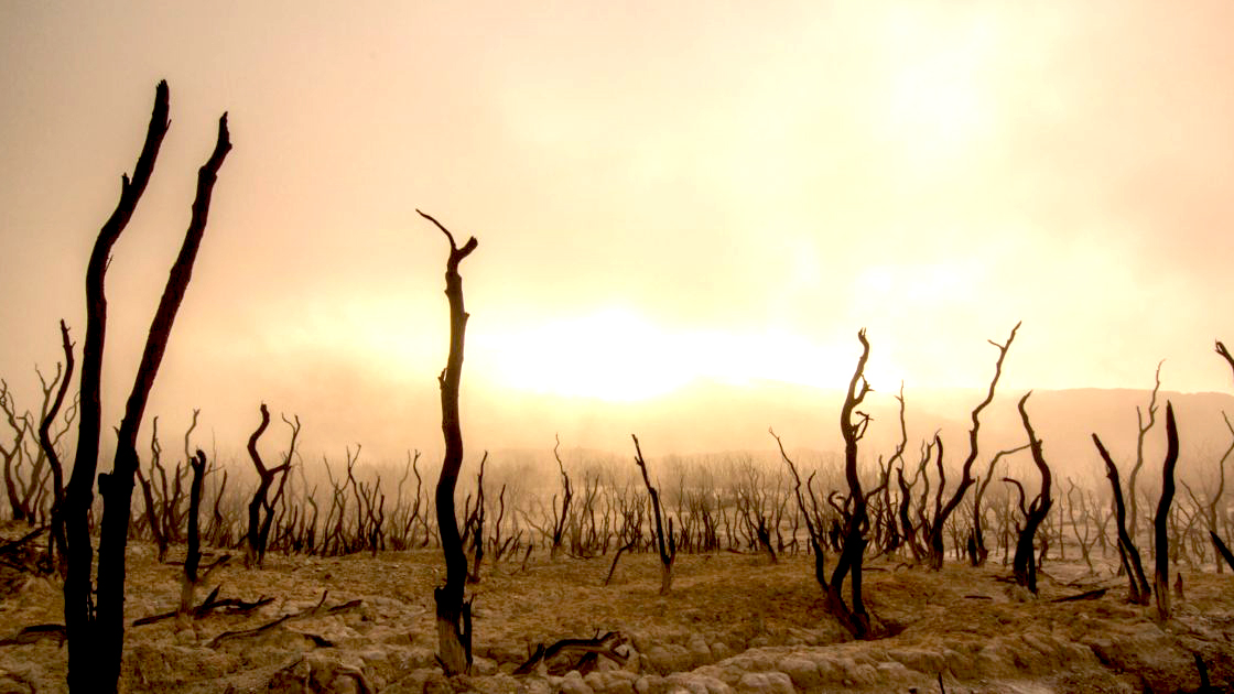 a photograph that has been artistically altered to depict a burned out and parched landscape with blackened tree stumps and a skyline that looks like it's on fire 