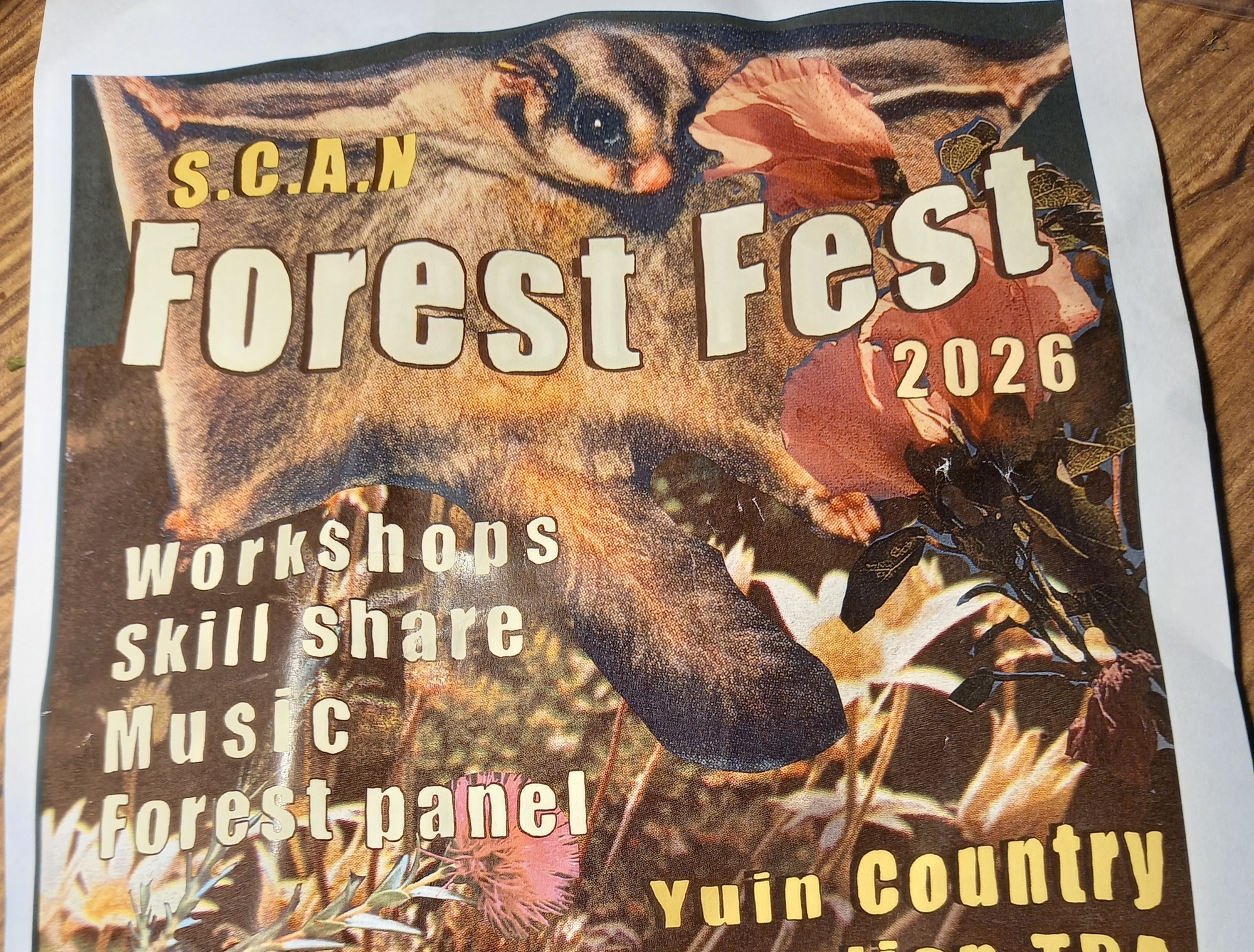 Forest Festival Poster by South Coast Action Network