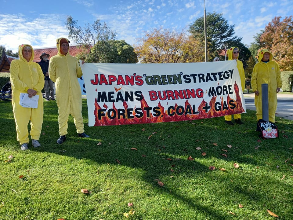 Japanese Embassy, Canberra, 18-05-23, Planet defenders dressed as Pikachus
