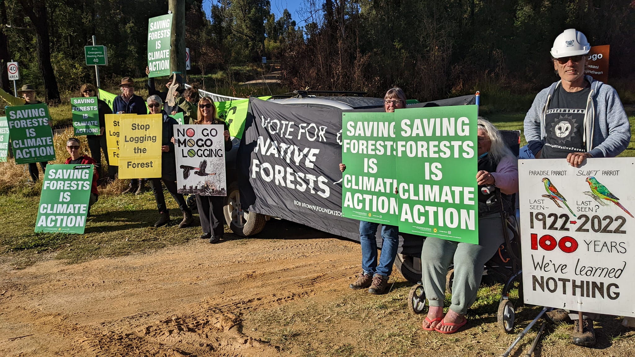 People holding Stop Native Forest Logging banners by a road.
