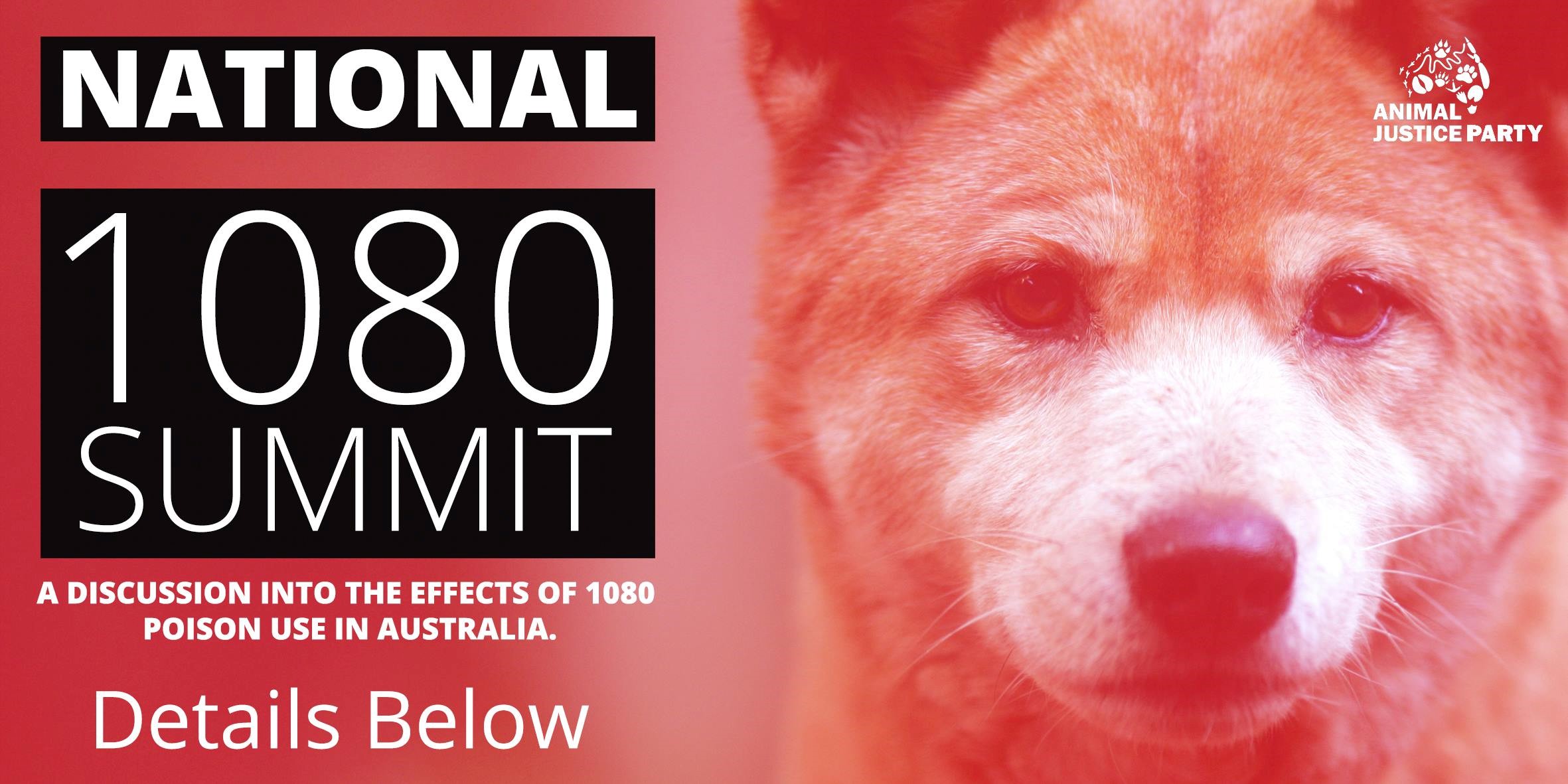Dingo face and "National 1080 Summit"