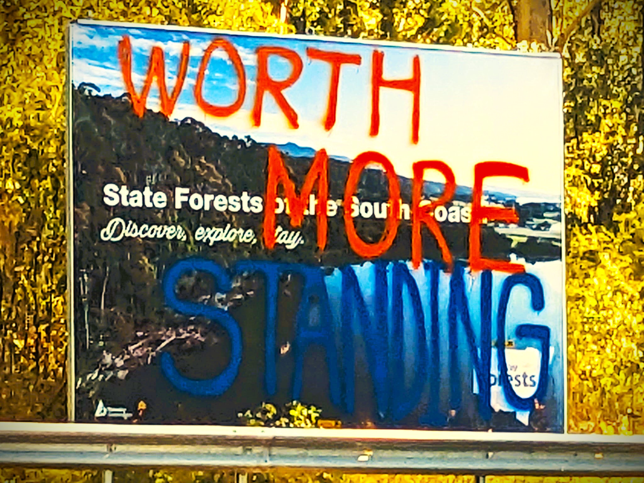 A highway billboard from State Forests spray painted over with Worth More Standing 