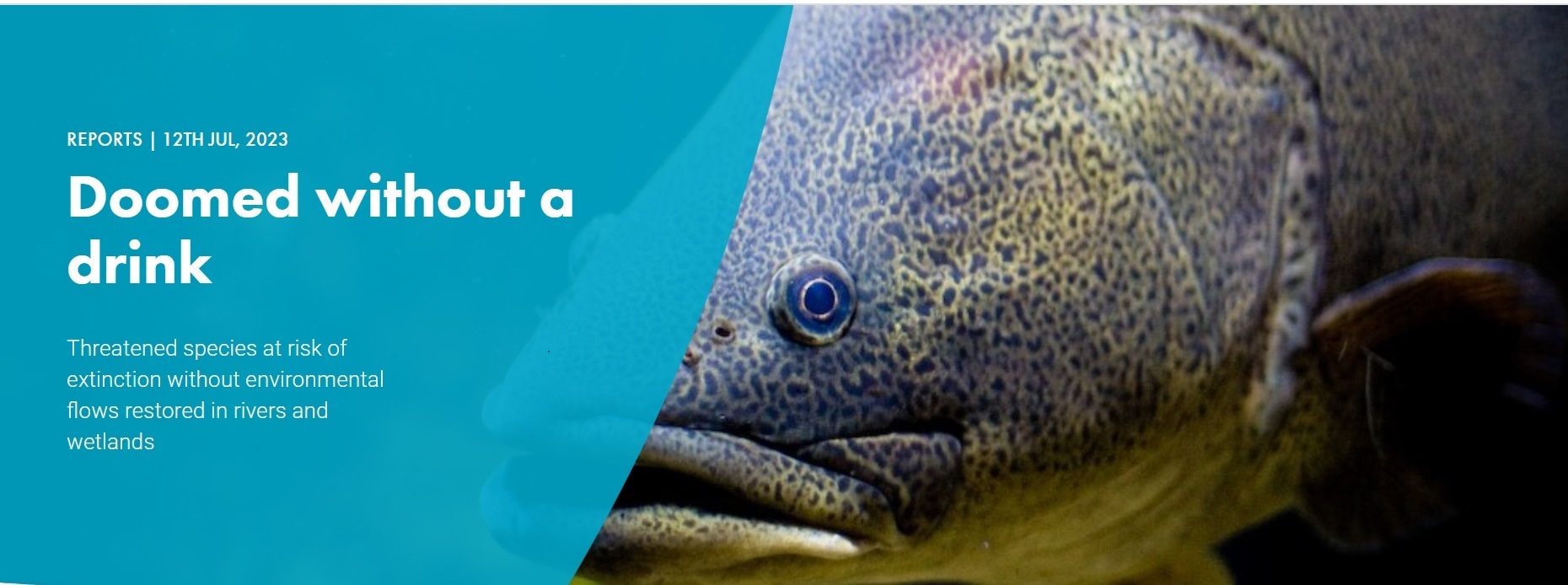 Doomed without a drink